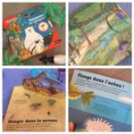 Kididoc – Sauvons les animaux !