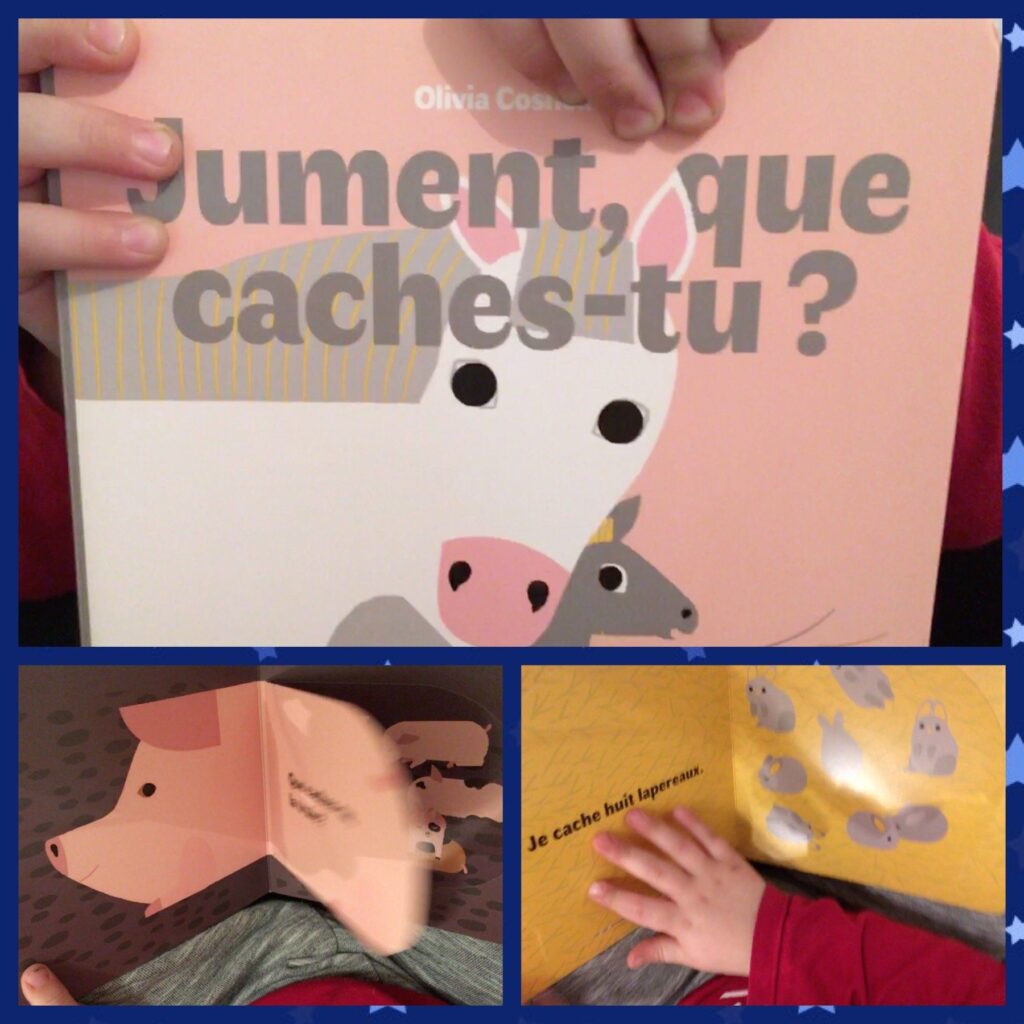 Jument, que caches-tu ?