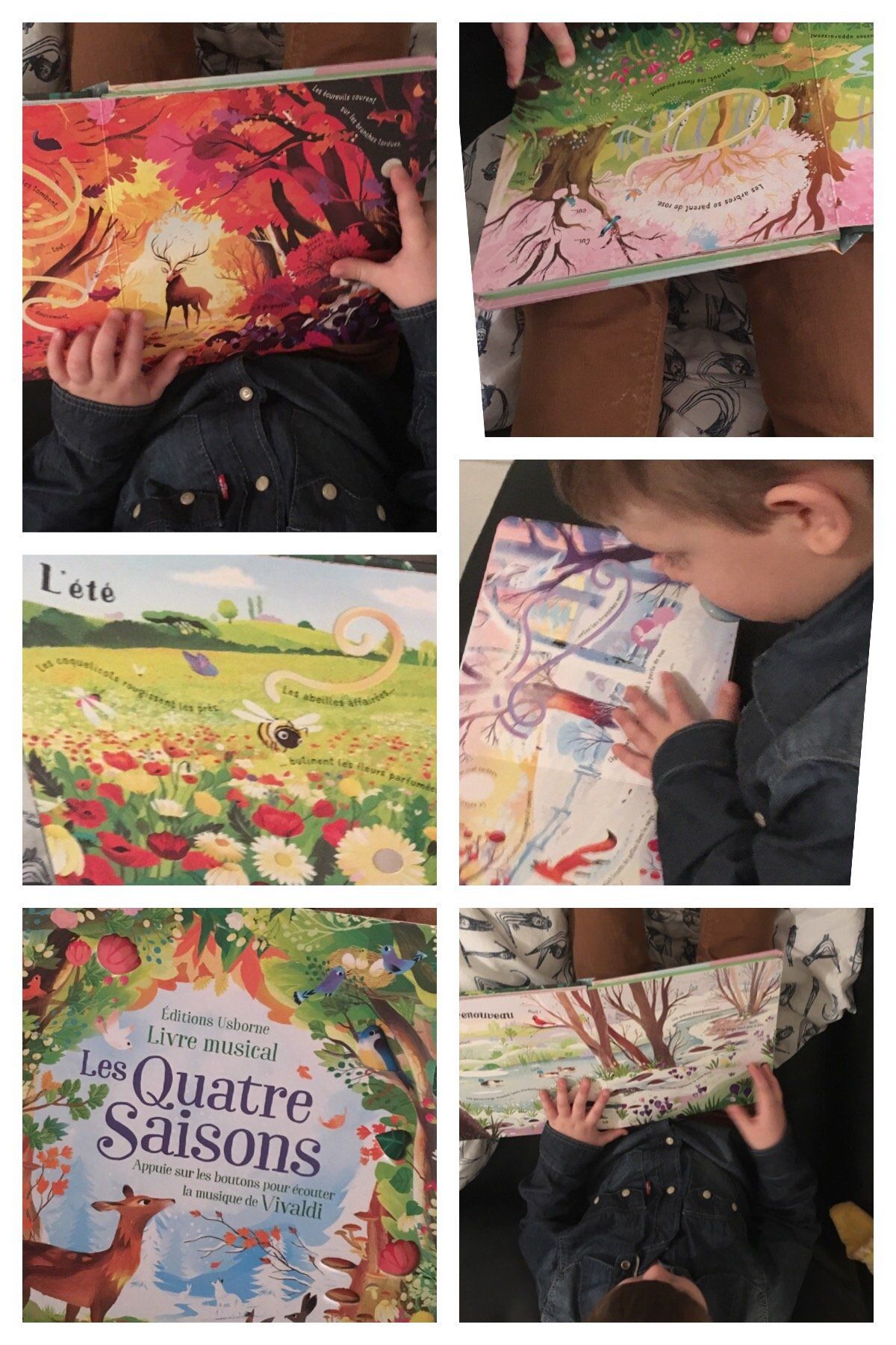 Les quatre saisons