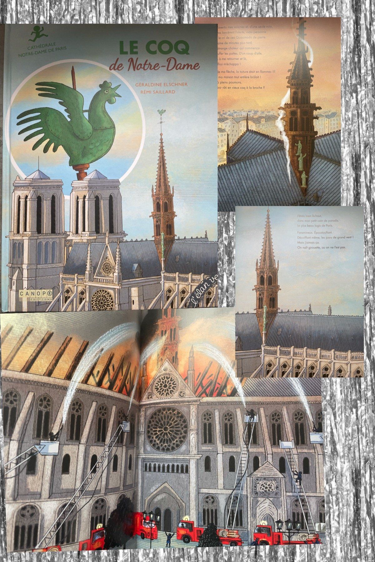 Le coq de Notre-Dame
