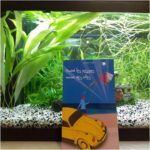 Quand les poissons auront des ailes