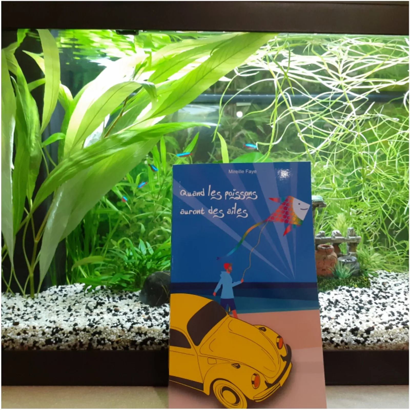 Quand les poissons auront des ailes