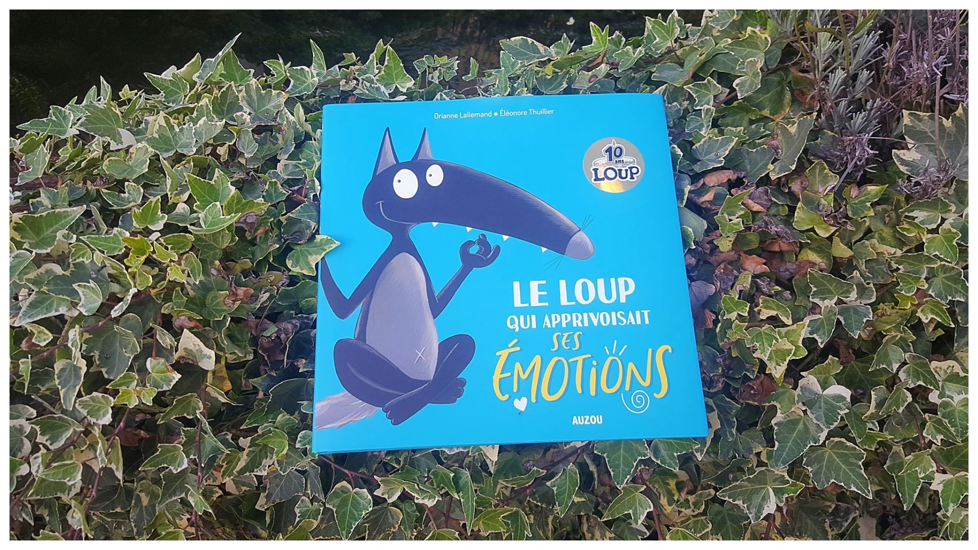 Le loup qui apprivoisait ses émotions