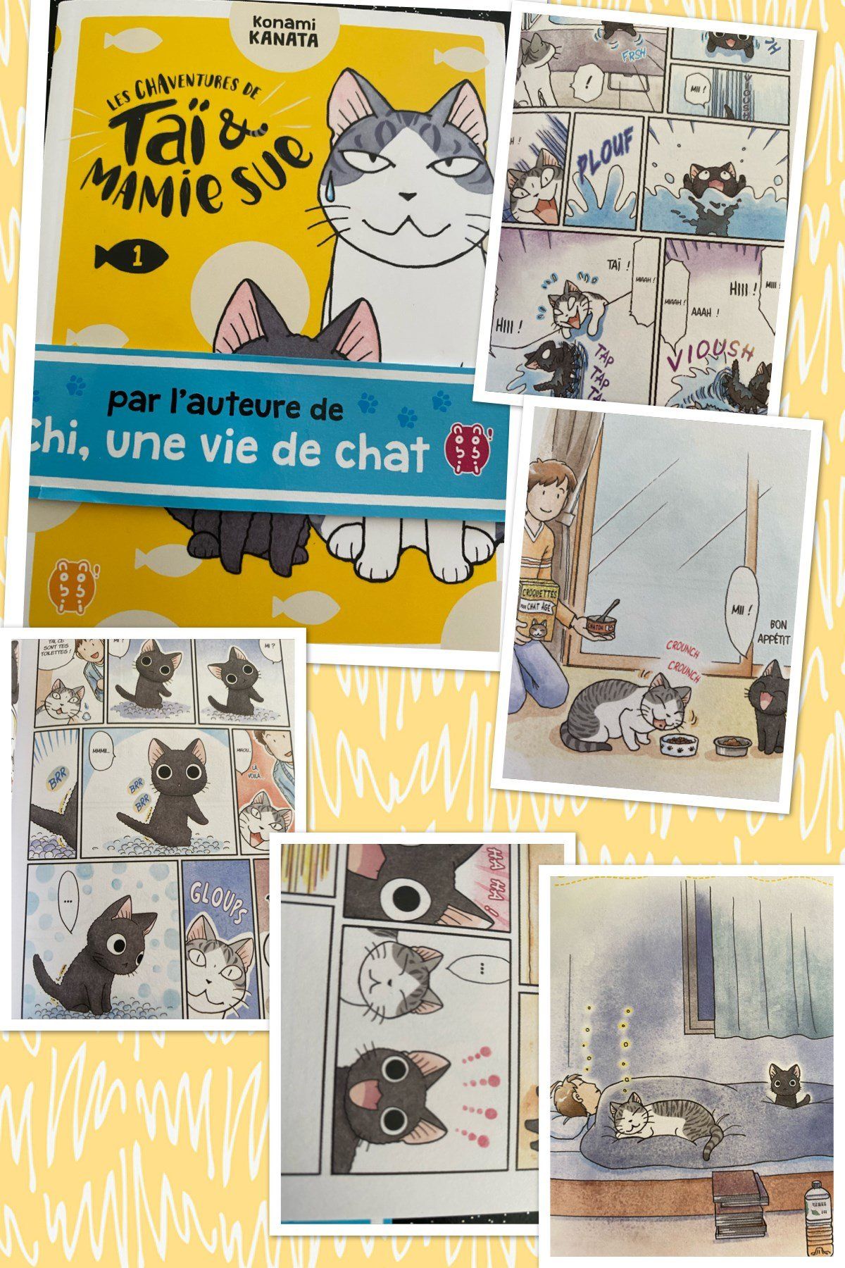 Les chaventures de Taï et Mamie Sue tome 1