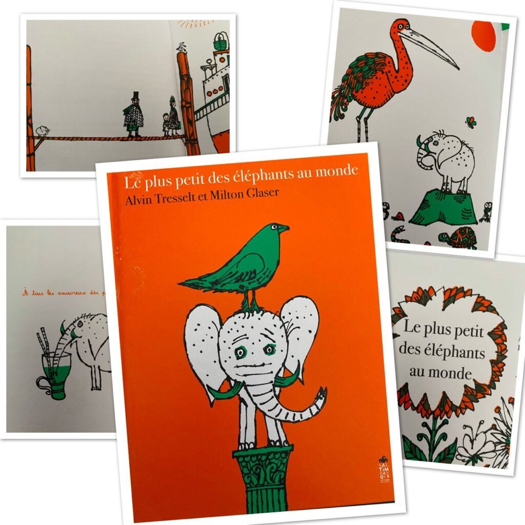 Le plus petit des éléphants du monde