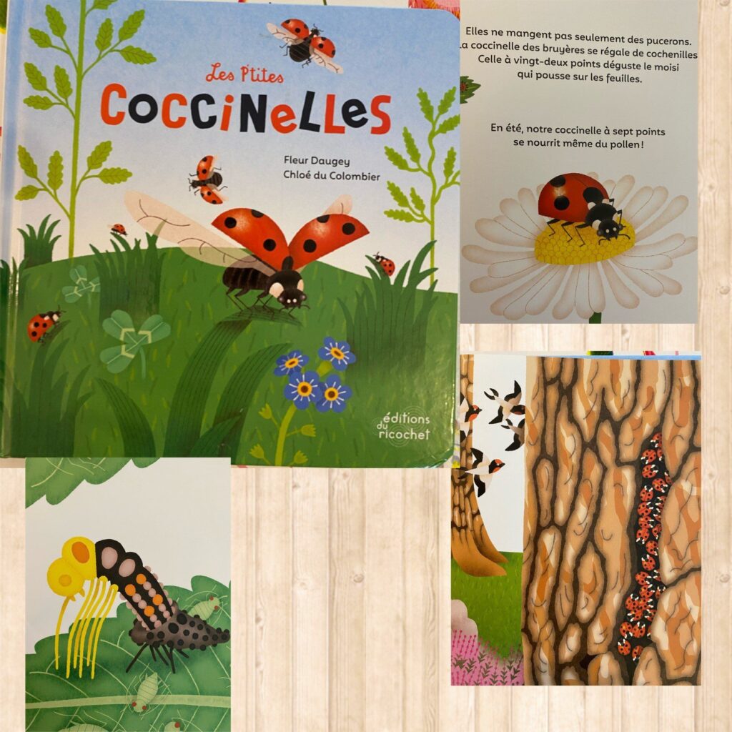 Les p’tites coccinelles