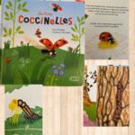 Les p’tites coccinelles