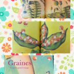 Graines – Un petit grand voyage