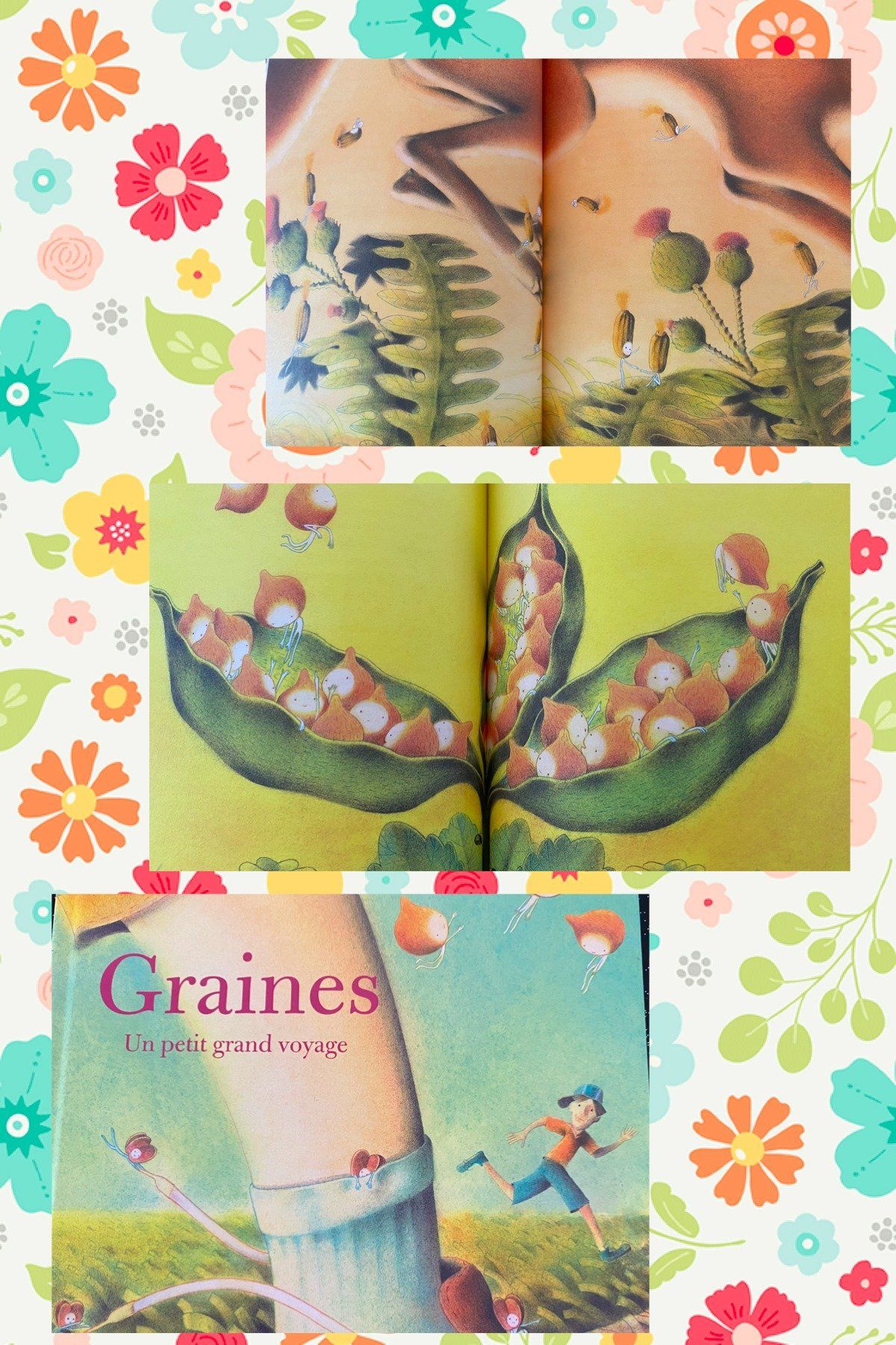 Graines – Un petit grand voyage