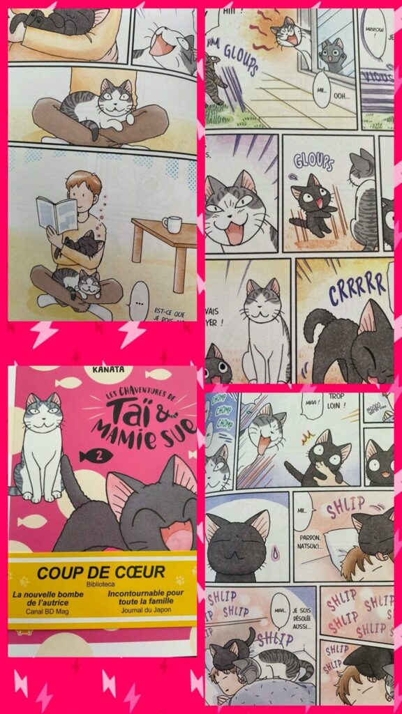 Les chaventures de Taï et Mamie Sue tome 2