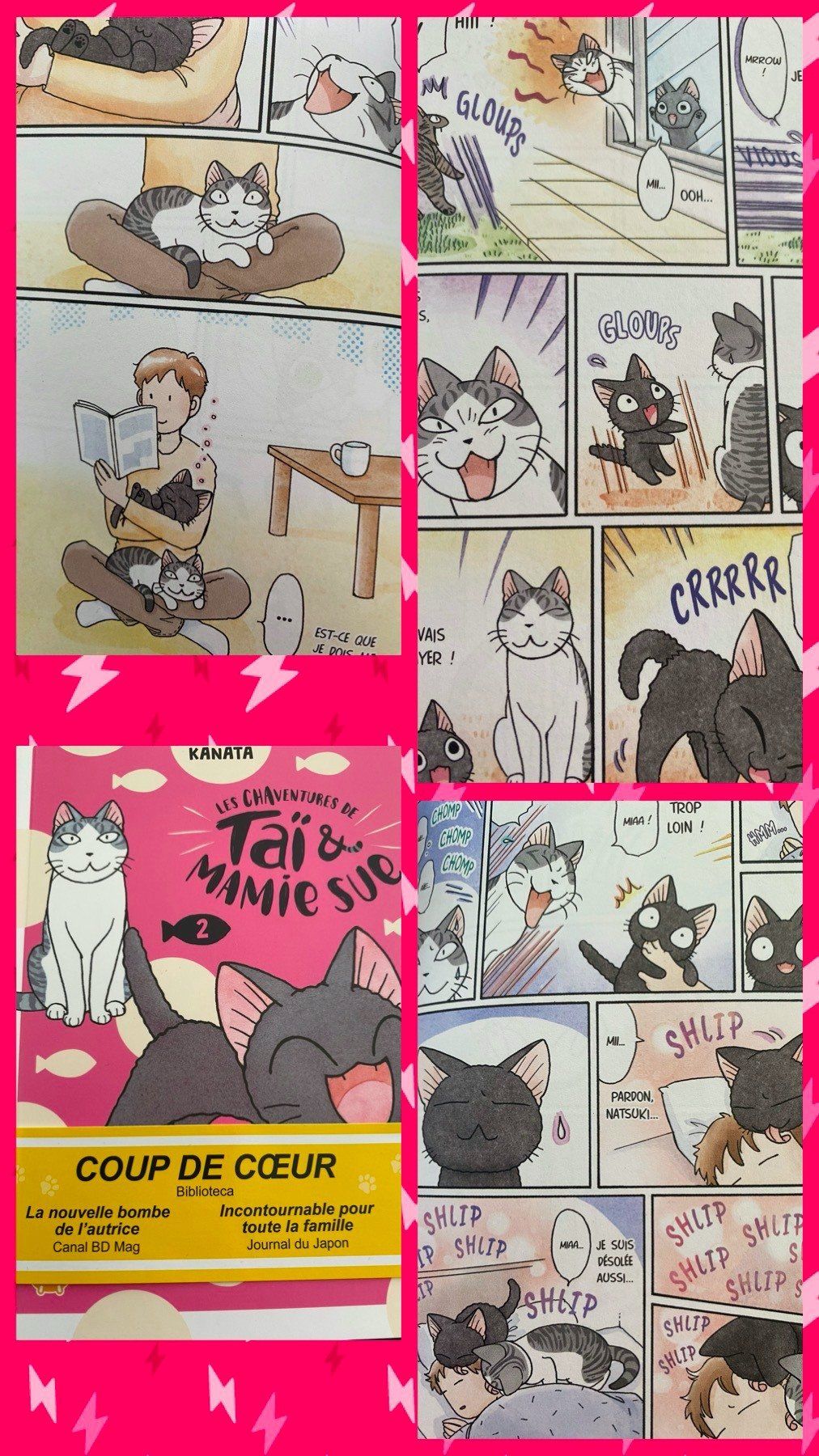 Les chaventures de Taï et Mamie Sue tome 2