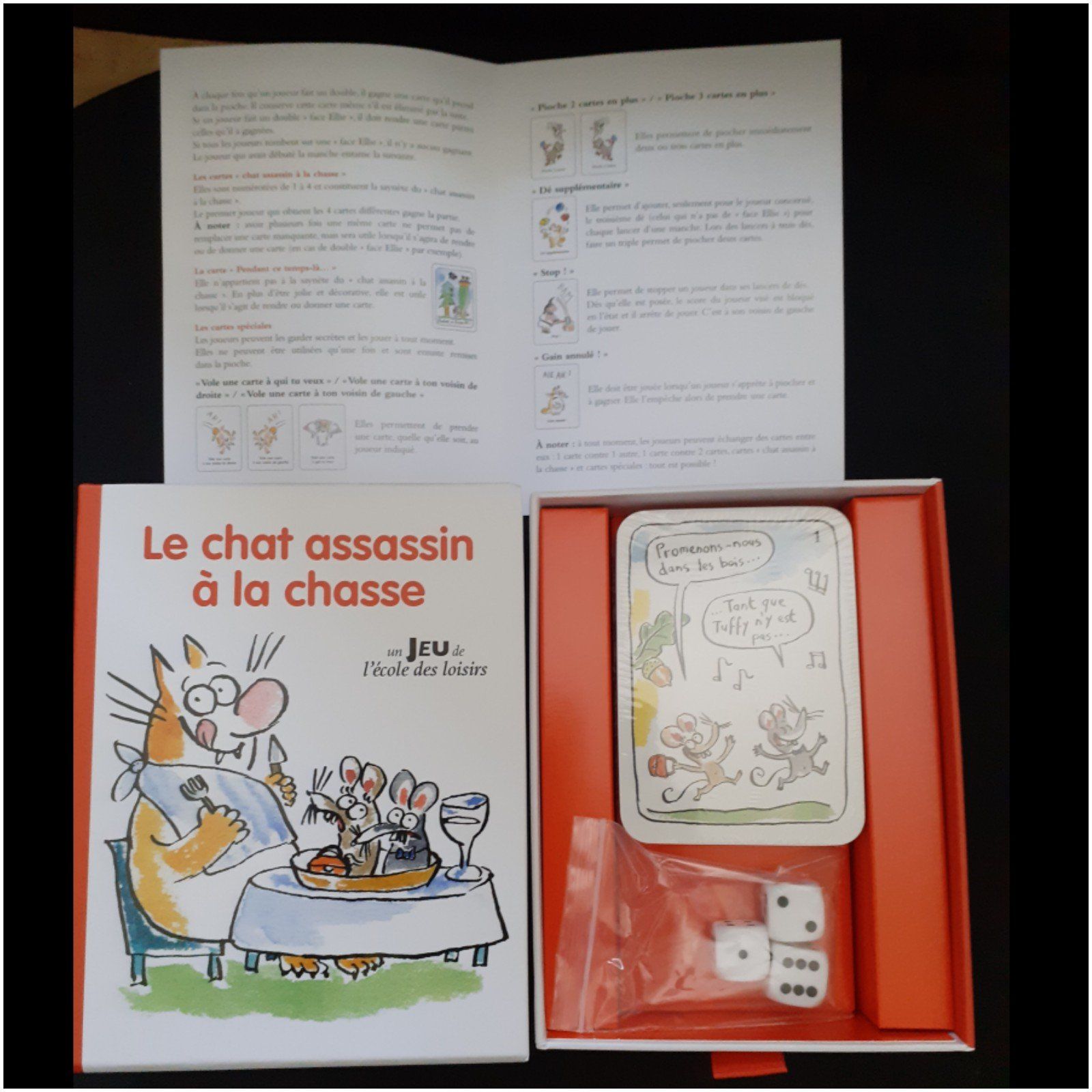 Le chat assassin à la chasse