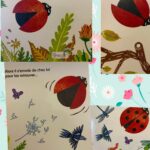 Léon la coccinelle a perdu ses points !