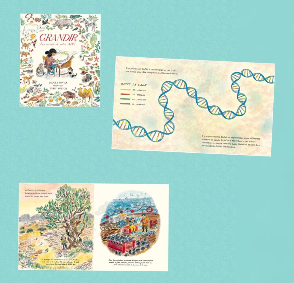 Grandir Les secrets de notre ADN