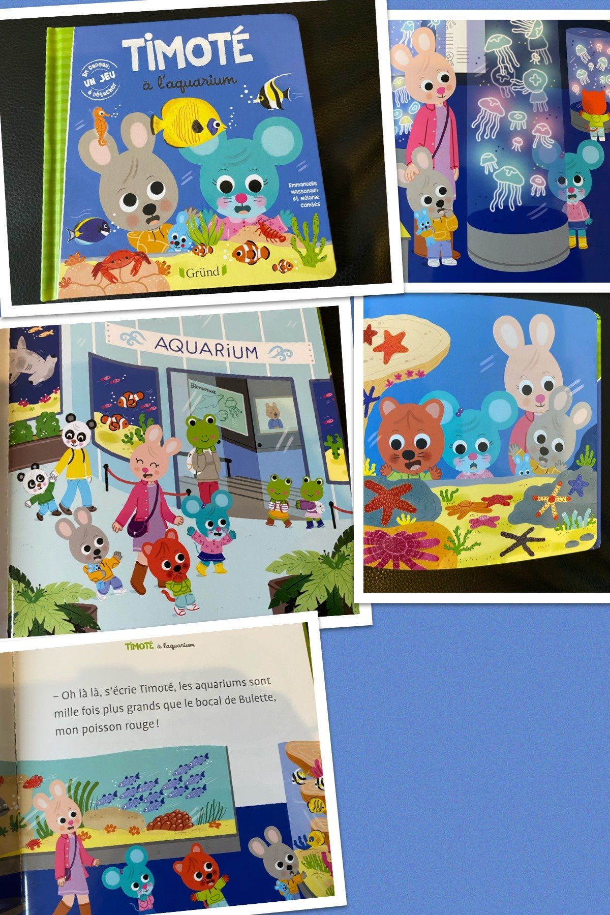 Timoté va à l’aquarium