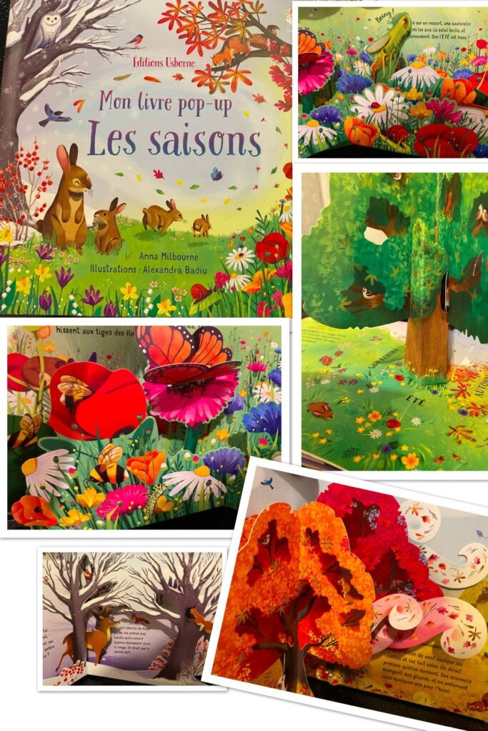 Mon livre pop-up les saisons