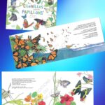 Hier chenilles, aujourd&rsquo;hui papillons !