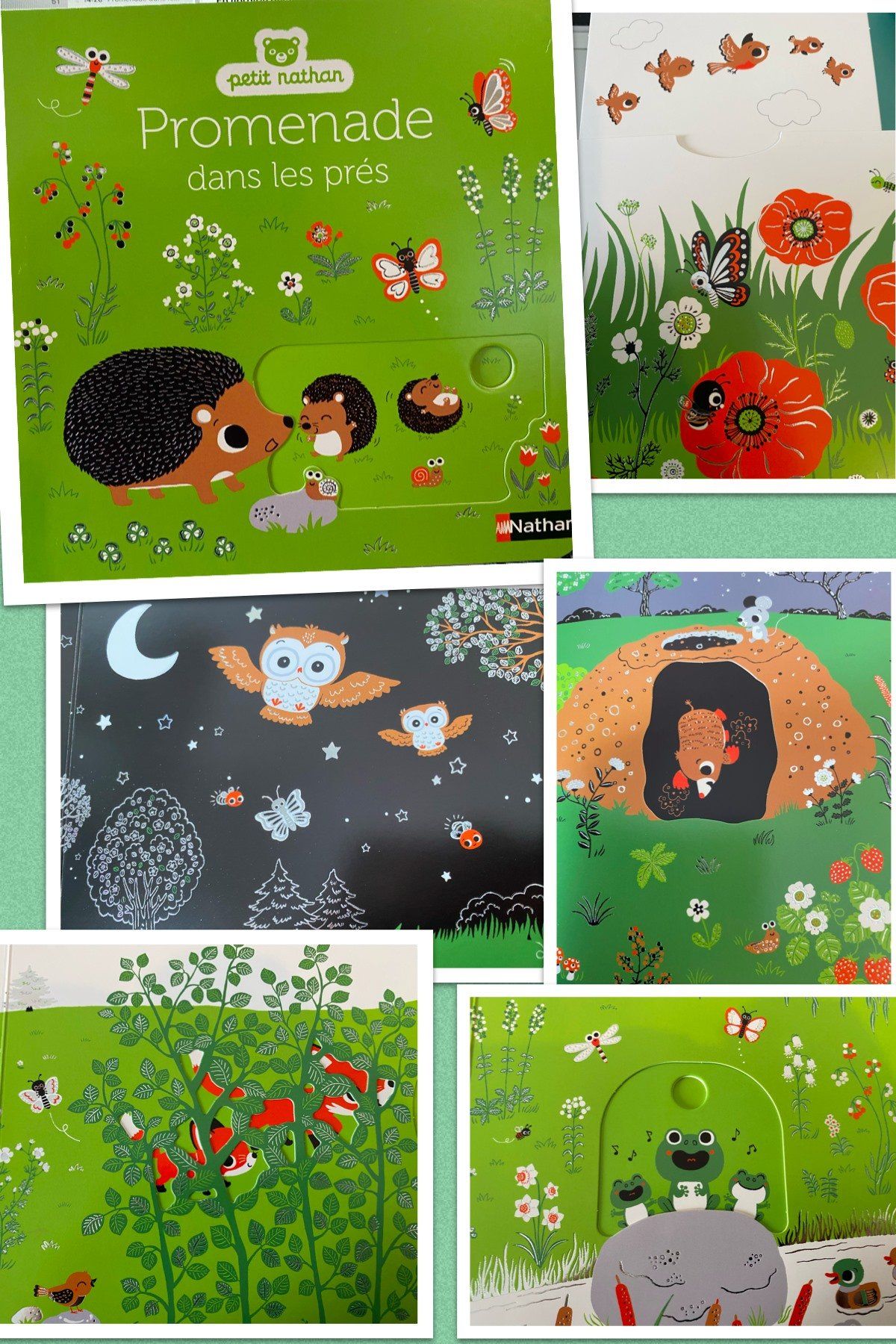 Promenade dans les prés