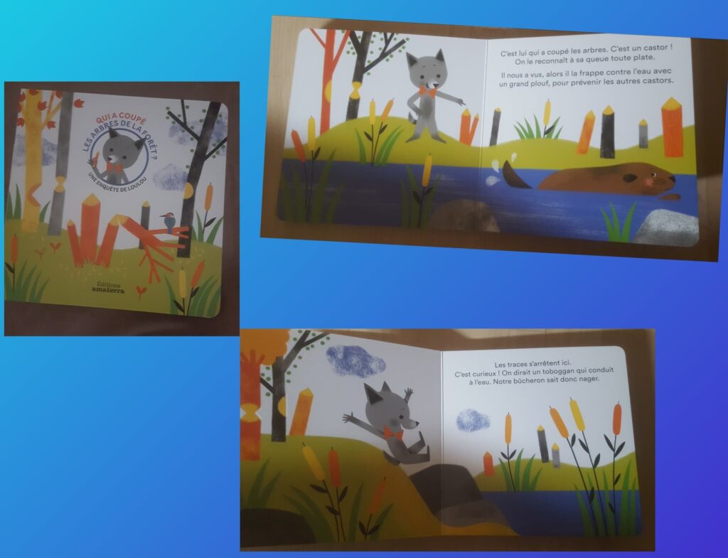 Qui a coupé les arbres de la forêt ?