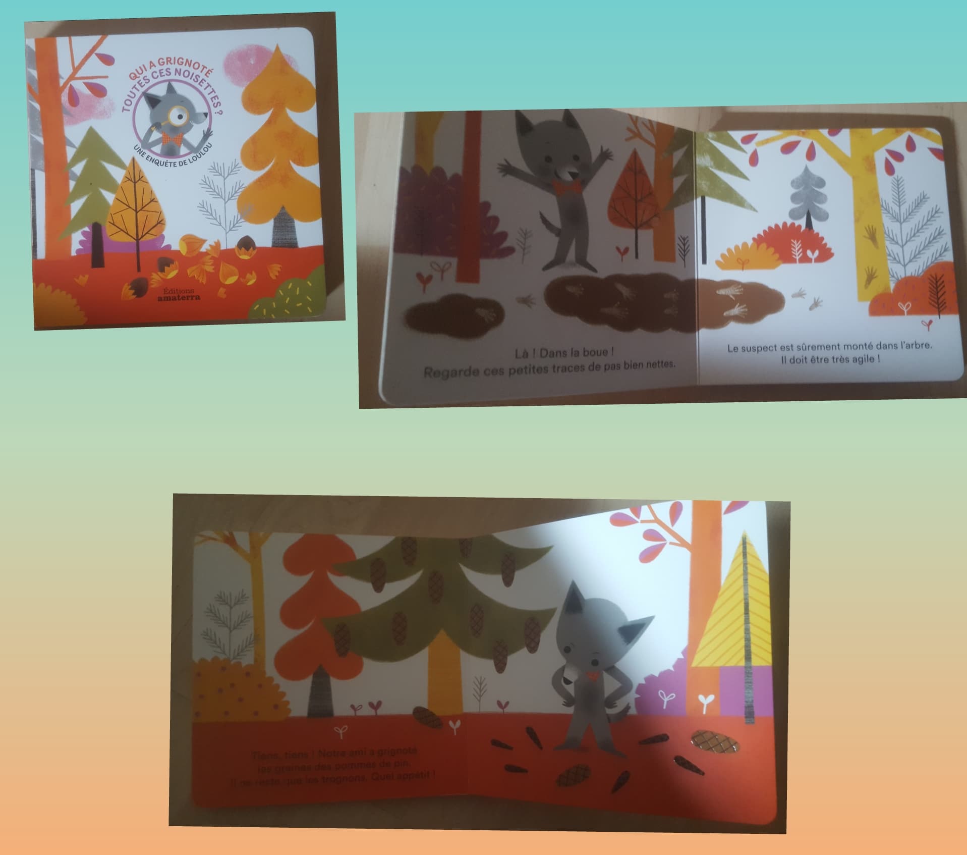 Qui a grignoté toutes ces noisettes?