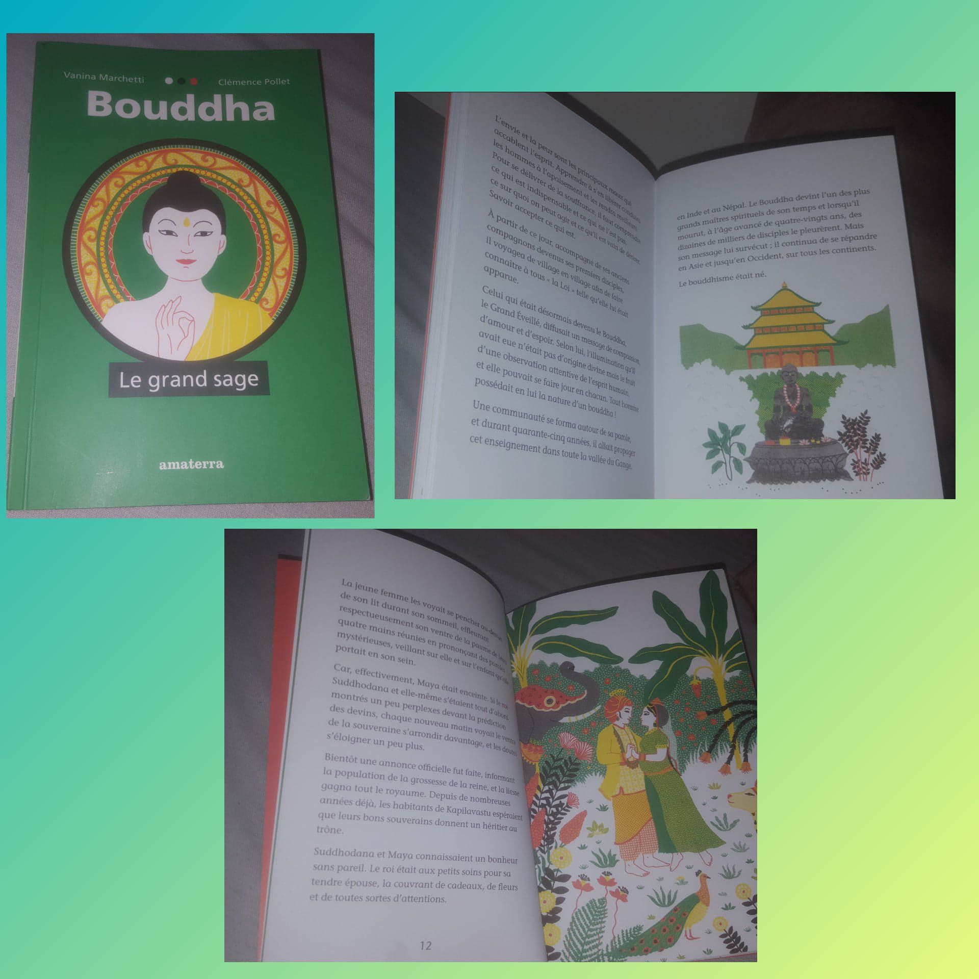 Bouddha le grand sage