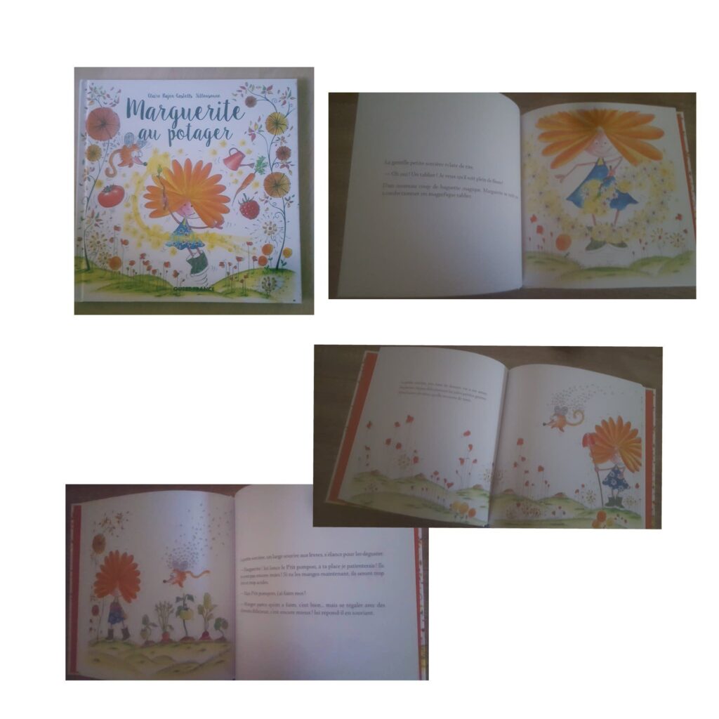 Marguerite au potager