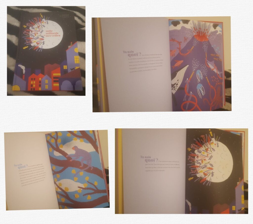 Mille milliards de merveilles