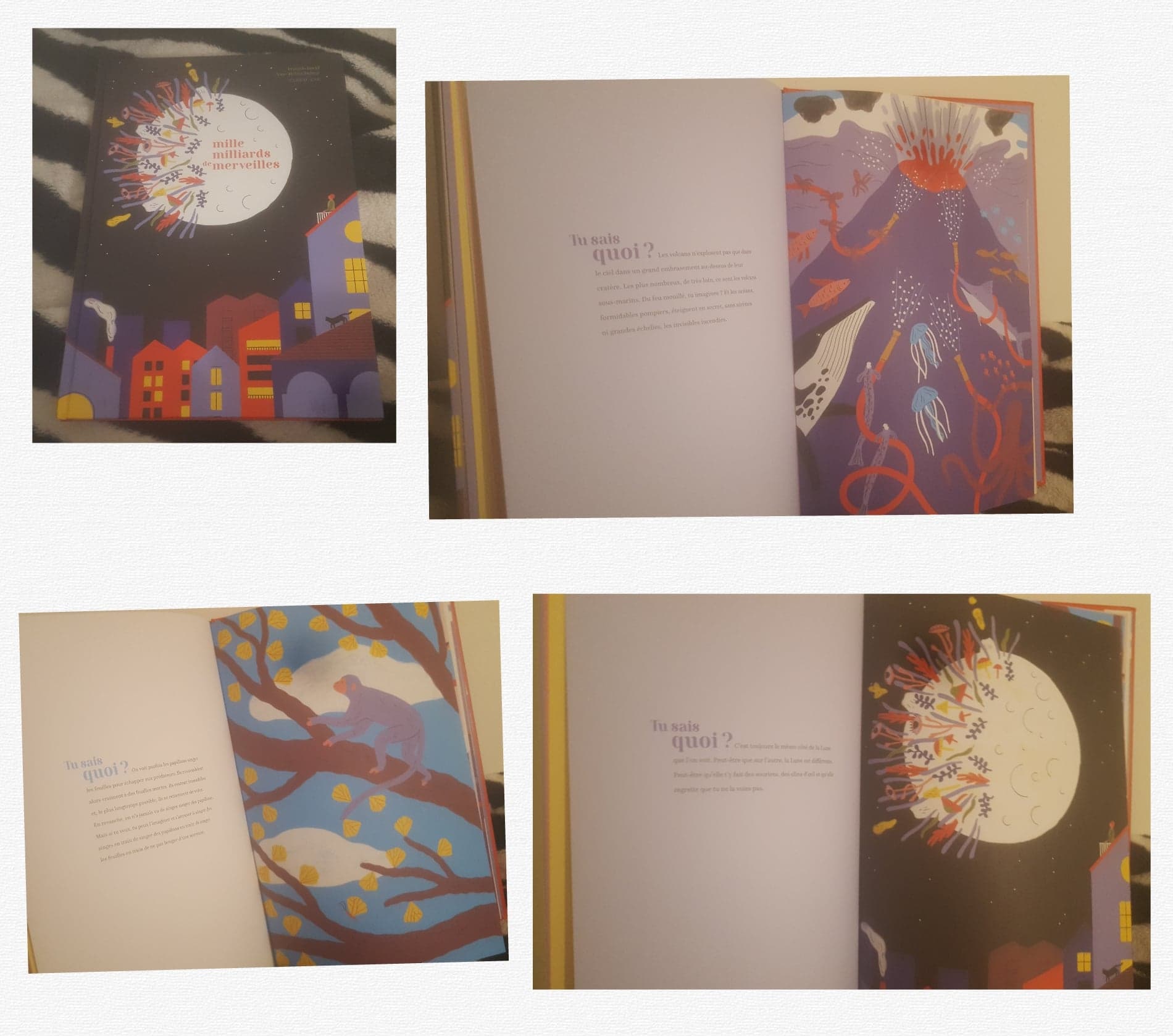 Mille milliards de merveilles