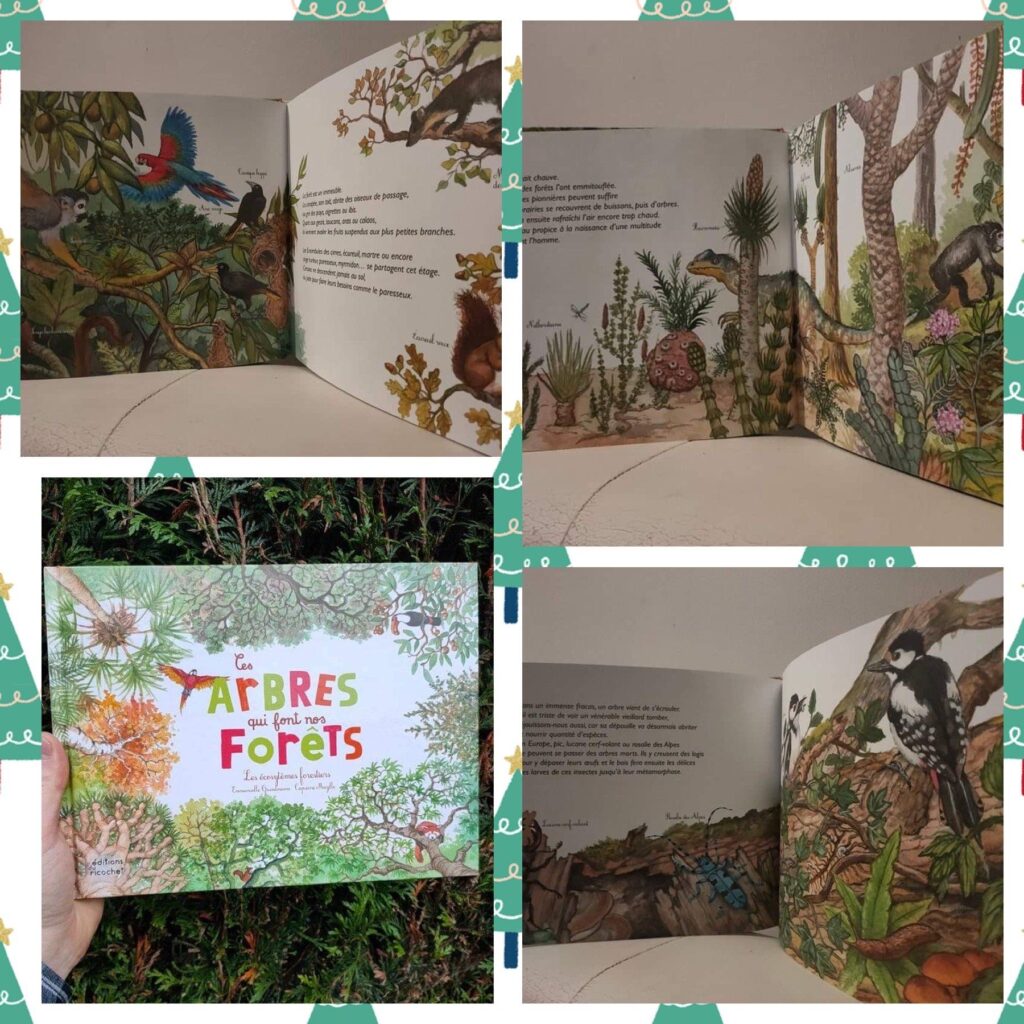 Ces arbres qui font nos fôrets