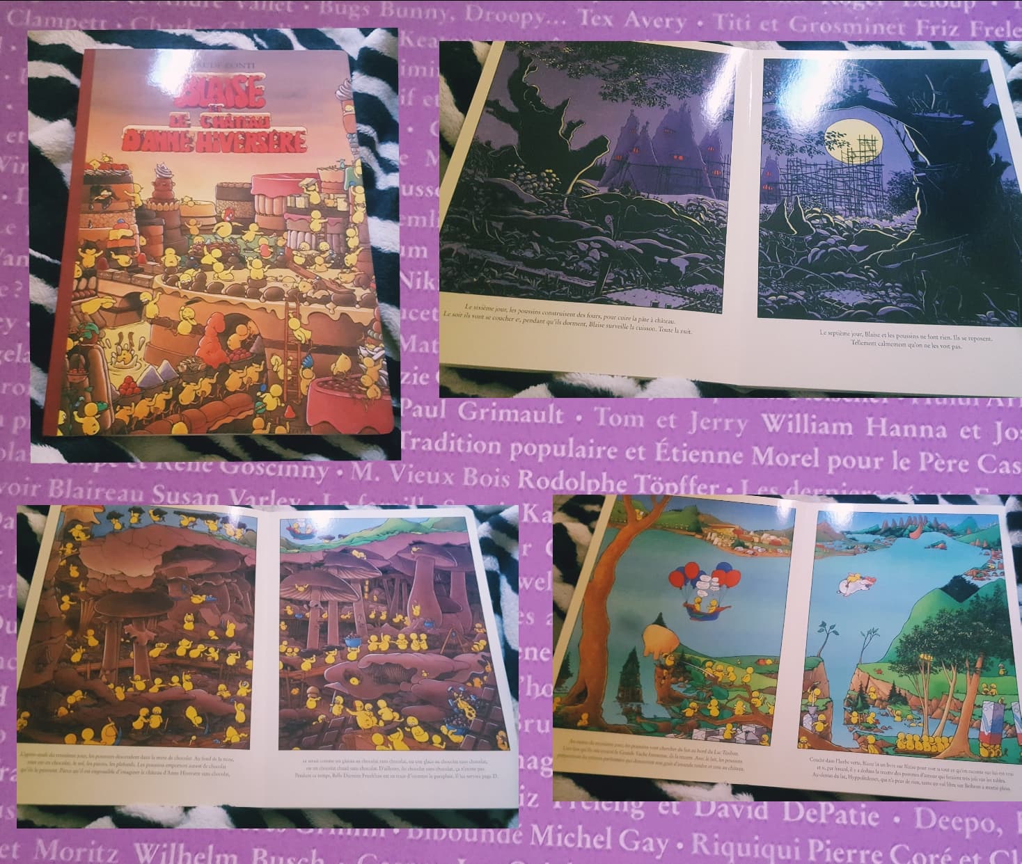 Blaise et le chateau d’Anne Hiversére