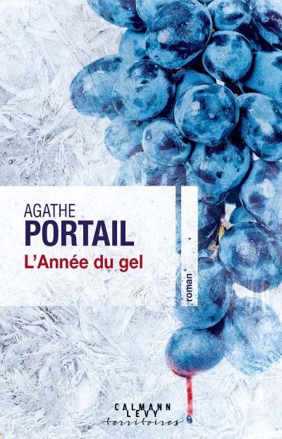 L&rsquo;année du gel – Agathe Portail