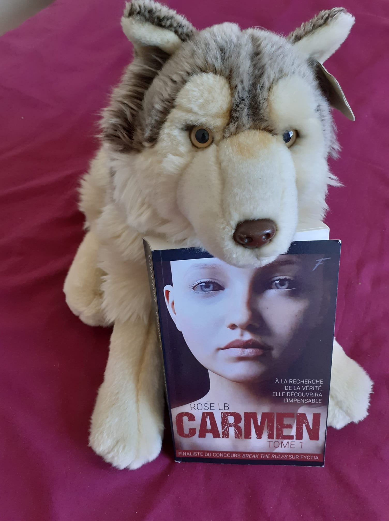 CARMEN – Tome 1