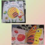 Le papillon Ma petite Nature