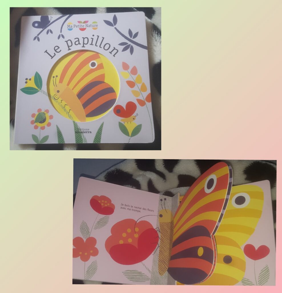 Le papillon Ma petite Nature