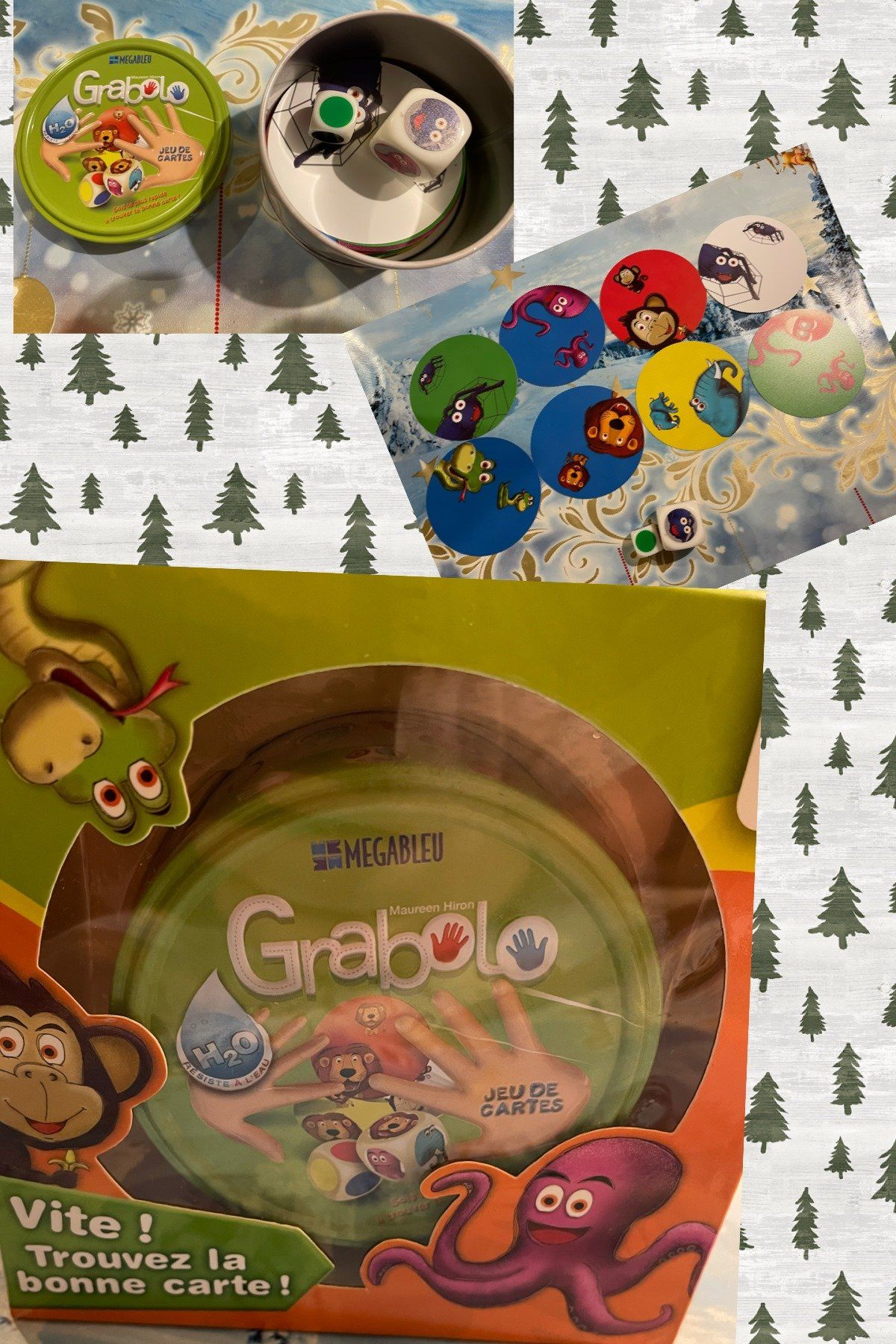 Grabolo Grabolo Family