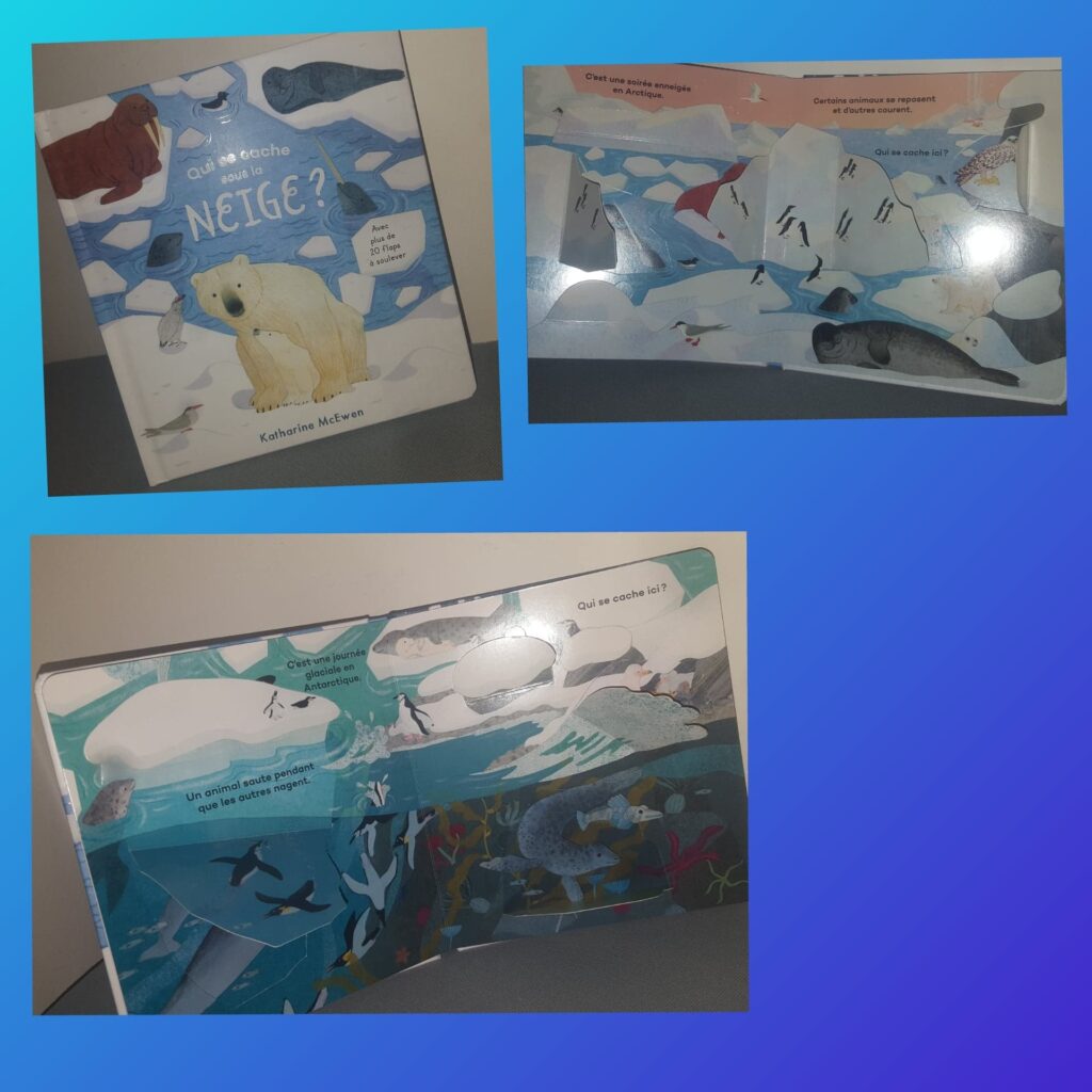 Qui se cache sous la neige ?