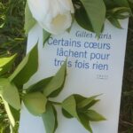 Certains coeurs lâchent pour trois fois rien