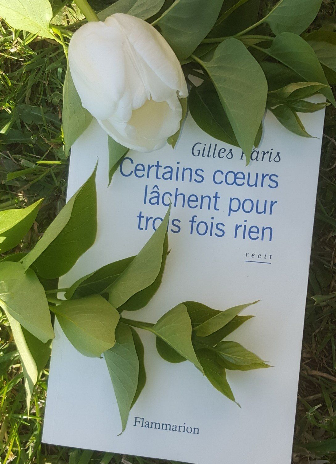 Certains coeurs lâchent pour trois fois rien