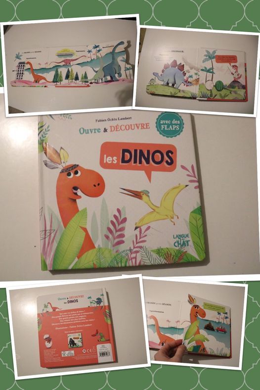 Ouvre & découvre les DINOS avec des flaps