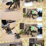 Robot Biopod InMotion