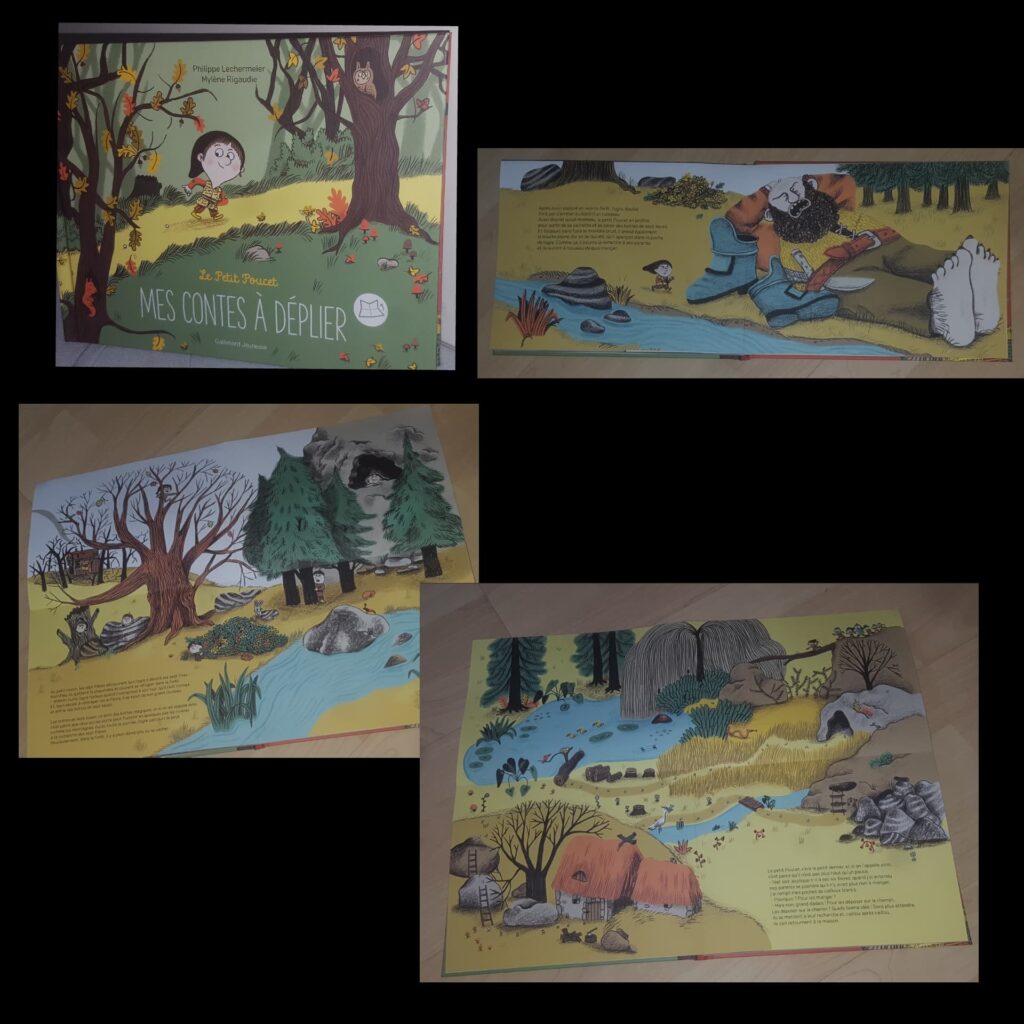 Le petit Poucet mes contes à déplier