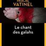 Le chant des galahs