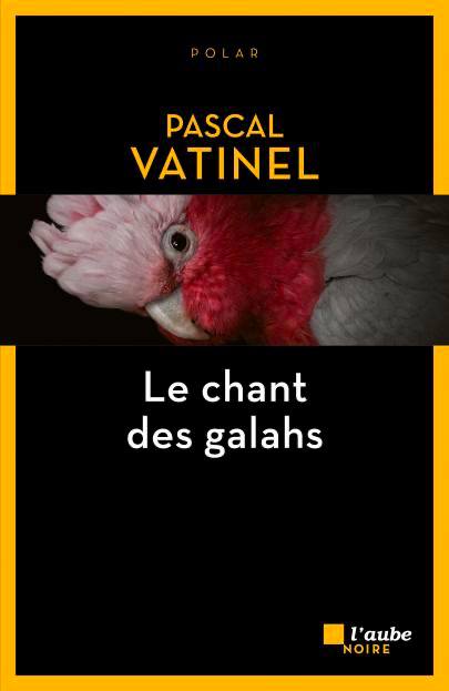 Le chant des galahs