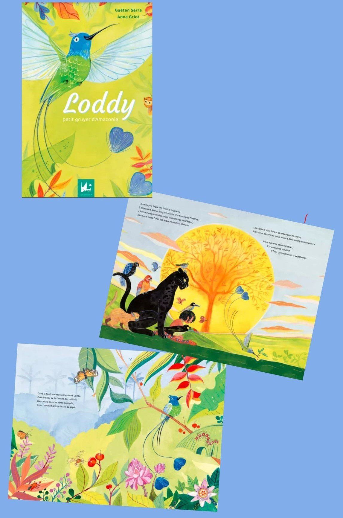 Lody petit gruyer d’Amazonie