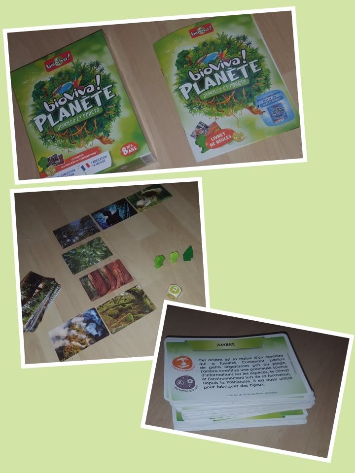 Bioviva planète Jungles et forêts