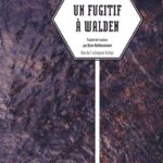 Un fugitif à Walden