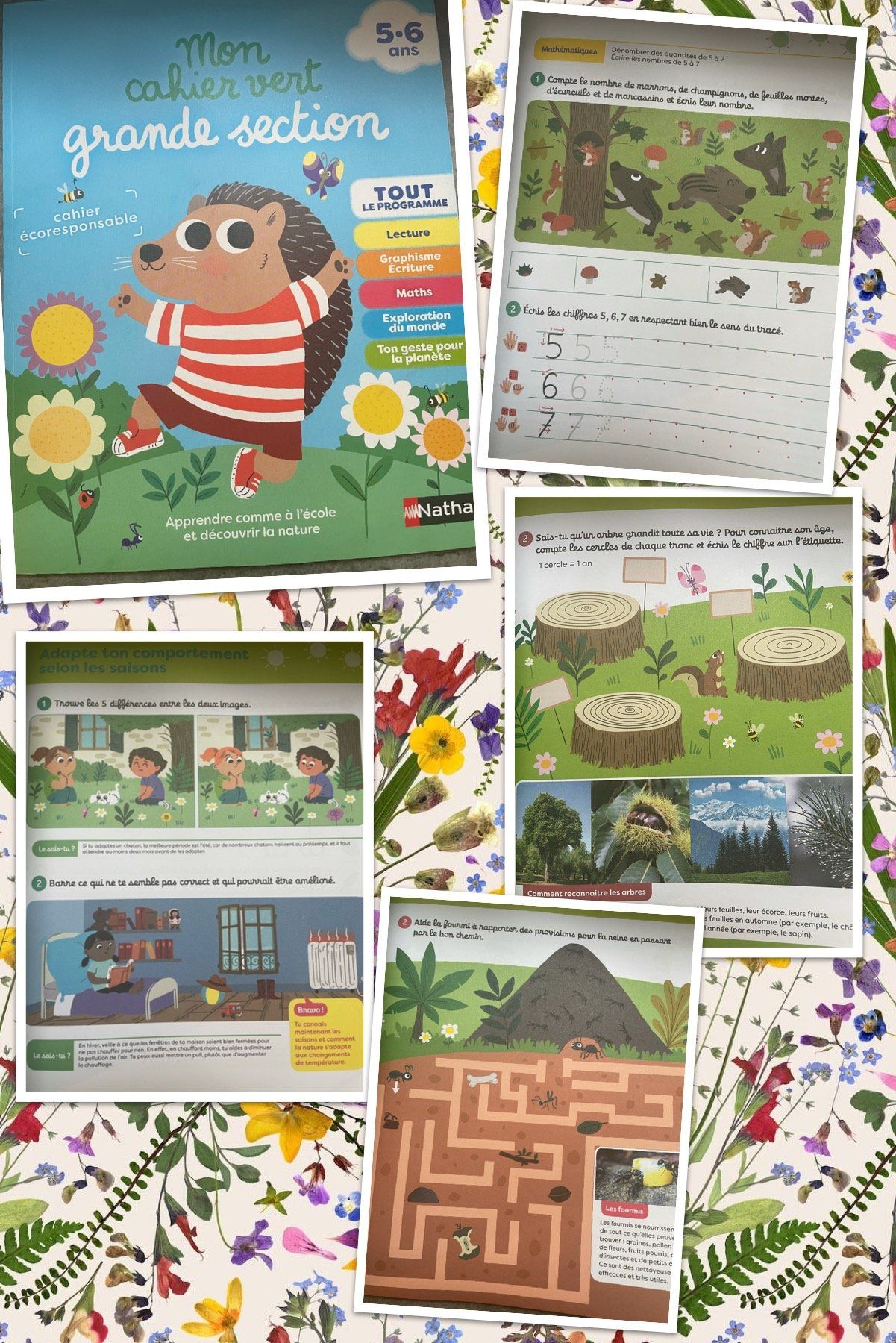 Mon cahier vert grande section