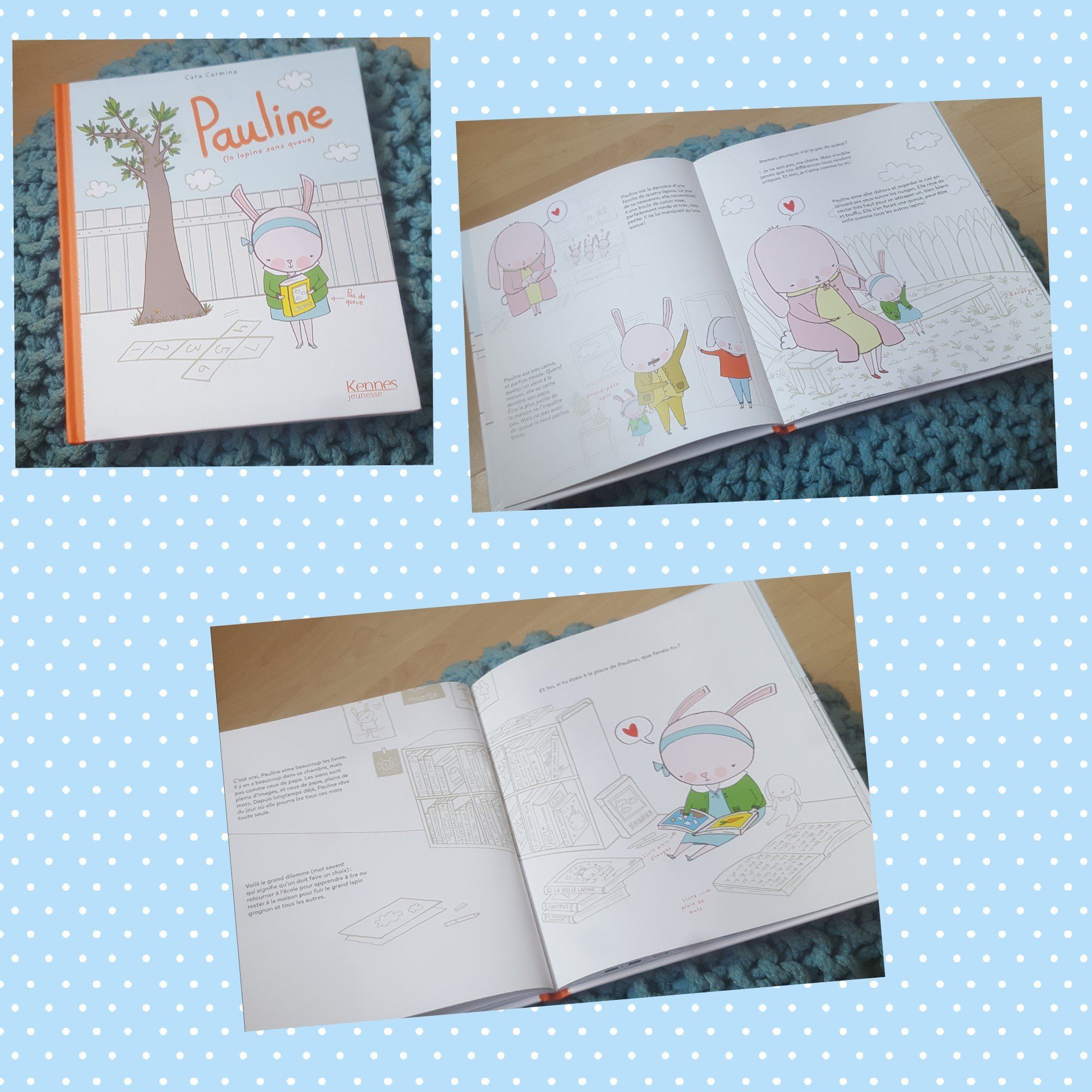 Pauline (la lapine sans queue)