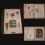 Le grand livre des plantes de Sorcières