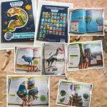 Questions Réponses ! L’encyclopédie des dinosaures – Nathan